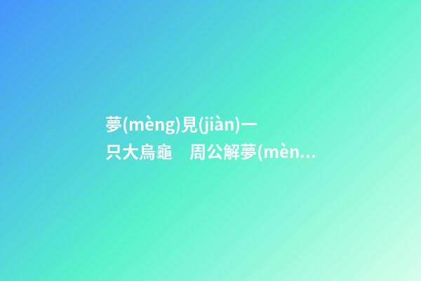 夢(mèng)見(jiàn)一只大烏龜　周公解夢(mèng)之夢(mèng)到一只大烏龜